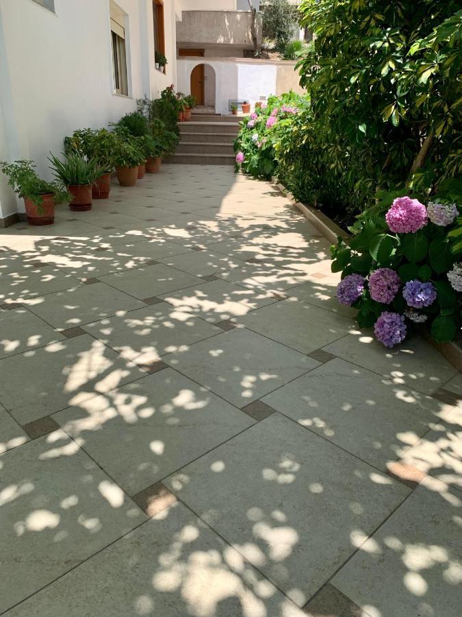 Duka Apts ساراندا المظهر الخارجي الصورة